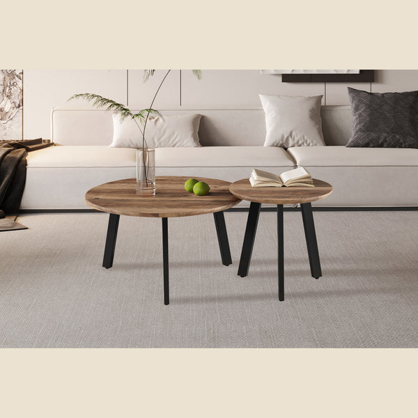 Set de 2 tables basses Aziz — Décor bois de manguier